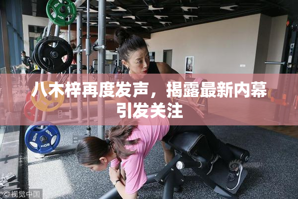 八木梓再度发声，揭露最新内幕引发关注