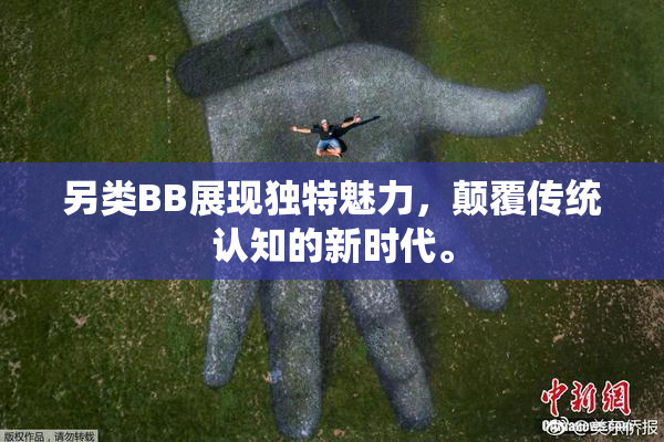 另类BB展现独特魅力，颠覆传统认知的新时代。