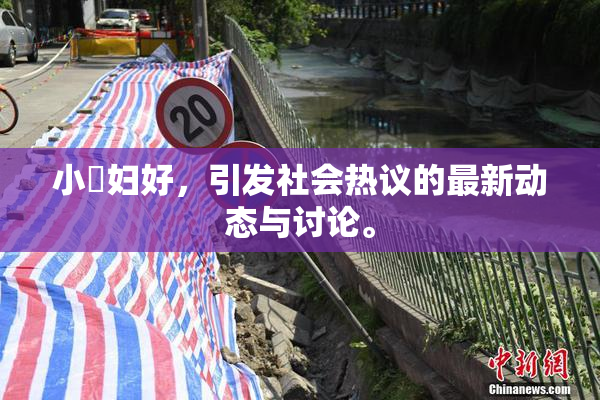 小婬妇好，引发社会热议的最新动态与讨论。