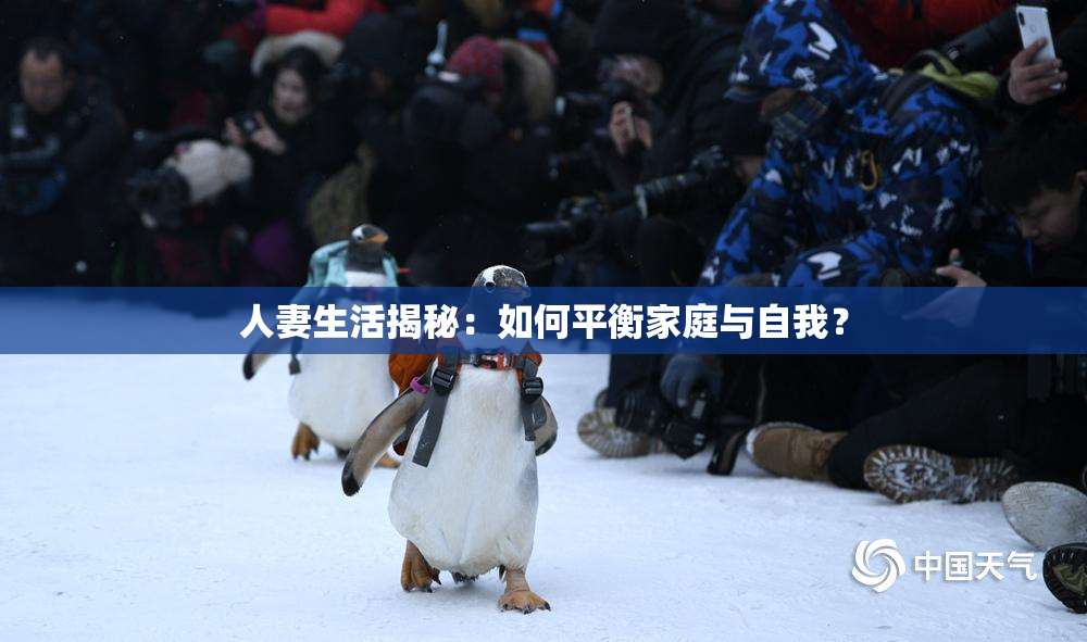 人妻生活揭秘：如何平衡家庭与自我？