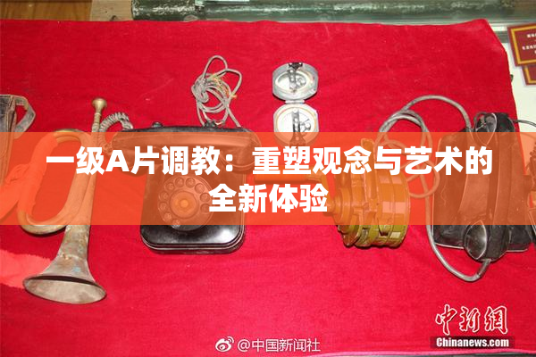 一级A片调教：重塑观念与艺术的全新体验