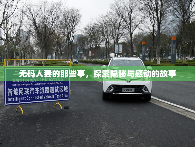 无码人妻的那些事，探索隐秘与感动的故事