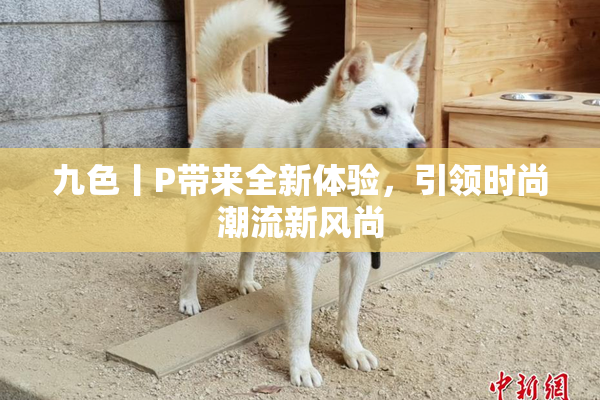 九色丨P带来全新体验，引领时尚潮流新风尚