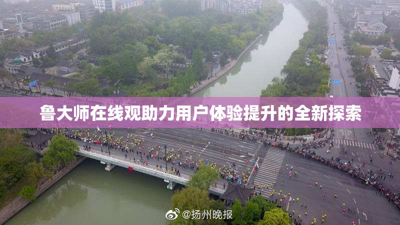 鲁大师在线观助力用户体验提升的全新探索