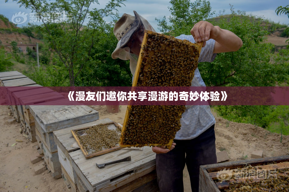 《漫友们邀你共享漫游的奇妙体验》