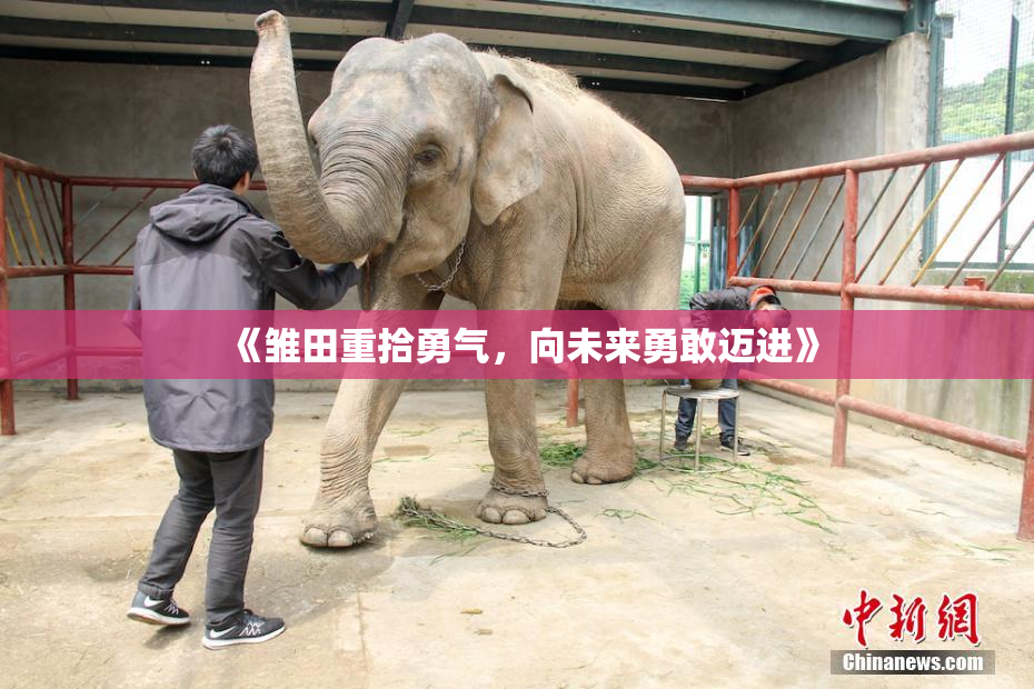 《雏田重拾勇气，向未来勇敢迈进》