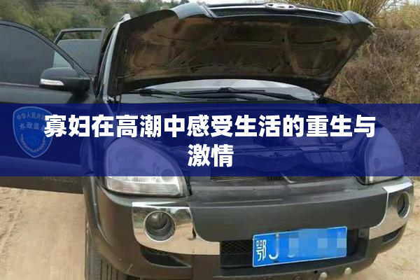 寡妇在高潮中感受生活的重生与激情