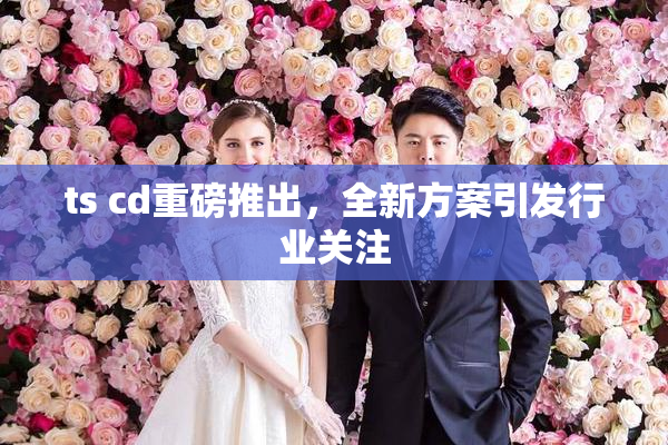 ts cd重磅推出，全新方案引发行业关注