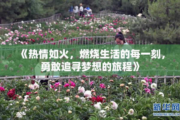 《热情如火，燃烧生活的每一刻，勇敢追寻梦想的旅程》