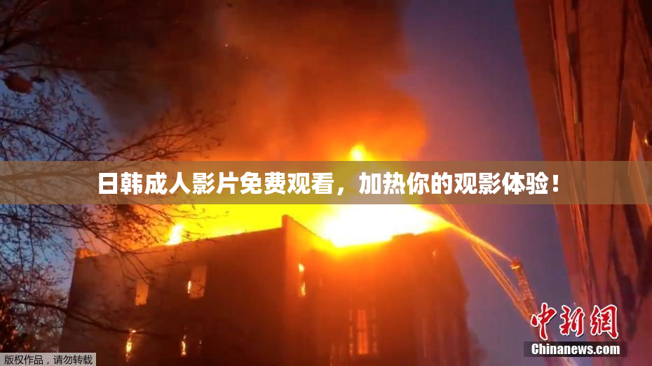 日韩成人影片免费观看，加热你的观影体验！
