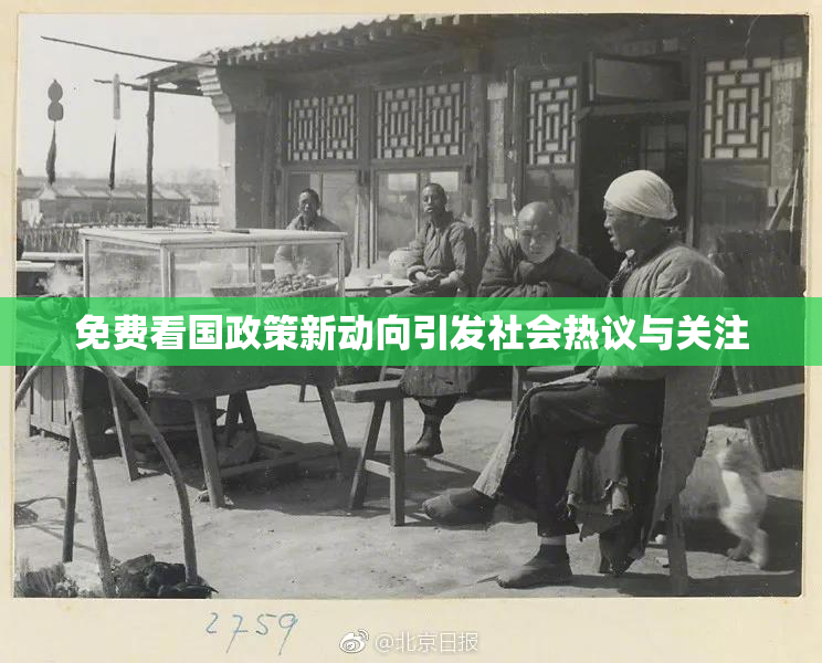 免费看国政策新动向引发社会热议与关注