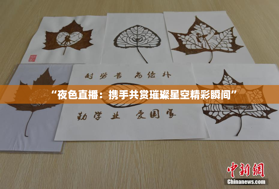 “夜色直播：携手共赏璀璨星空精彩瞬间”