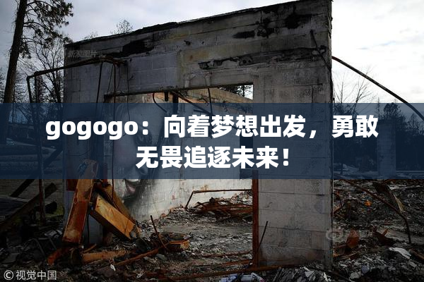 gogogo：向着梦想出发，勇敢无畏追逐未来！