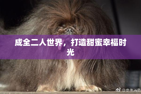 成全二人世界，打造甜蜜幸福时光
