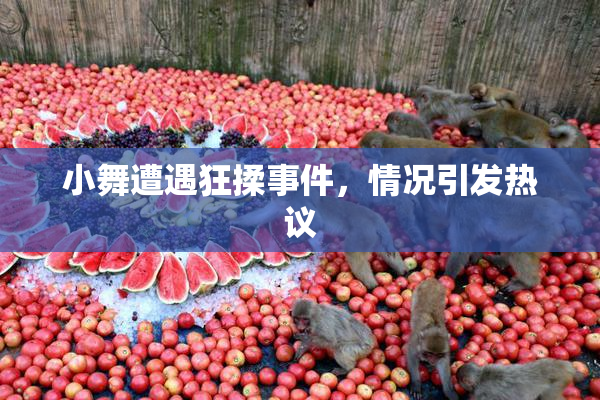 小舞遭遇狂揉事件，情况引发热议