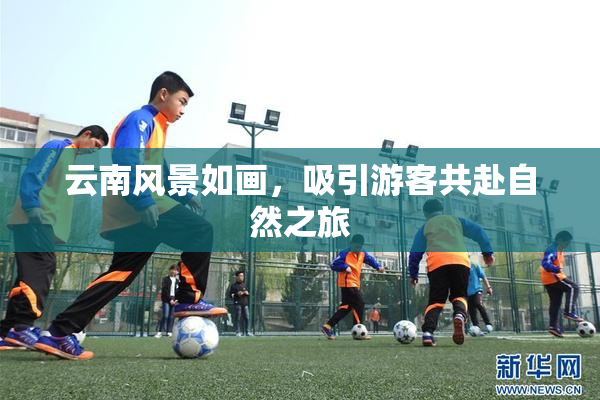 云南风景如画，吸引游客共赴自然之旅