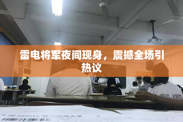 雷电将军夜间现身，震撼全场引热议