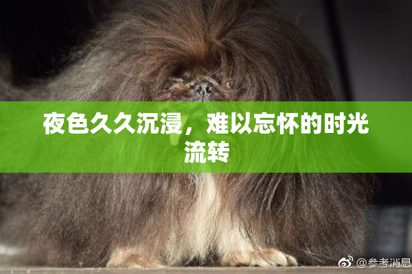 夜色久久沉浸，难以忘怀的时光流转