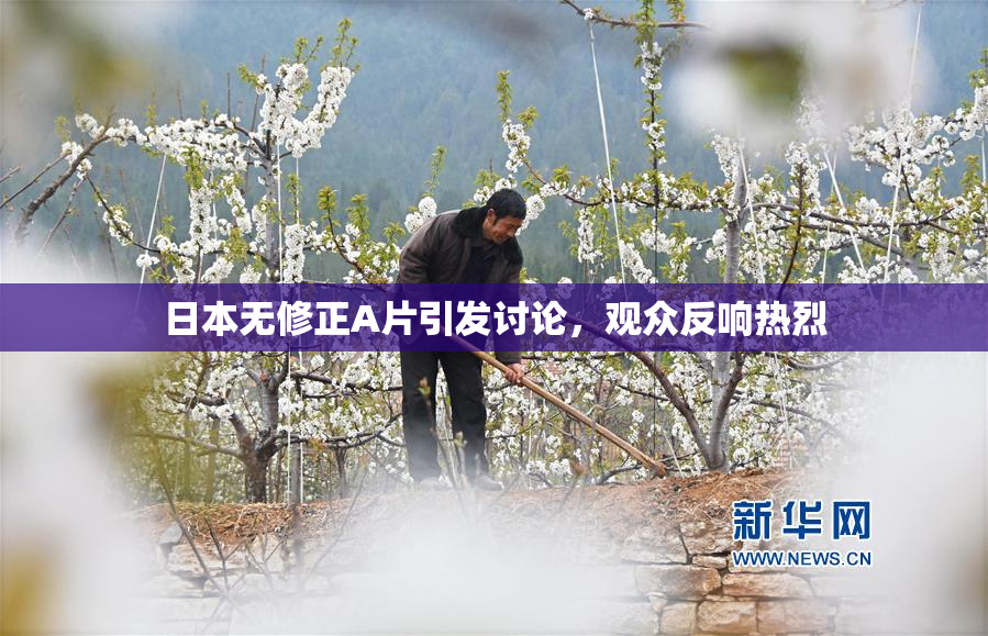 日本无修正A片引发讨论，观众反响热烈
