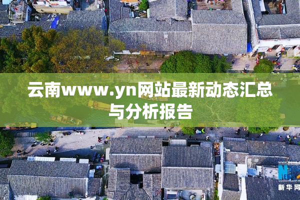 云南www.yn网站最新动态汇总与分析报告