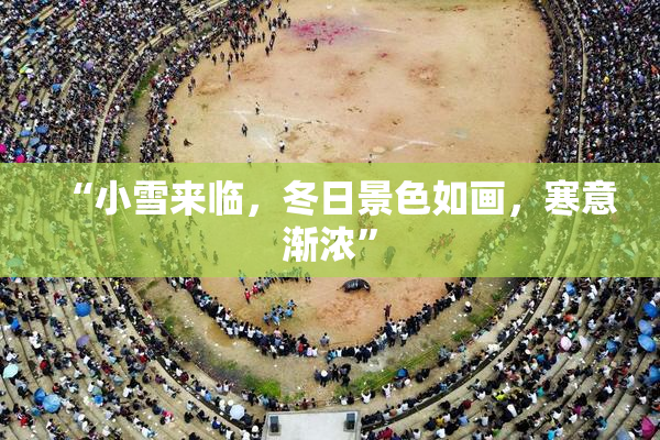 “小雪来临，冬日景色如画，寒意渐浓”