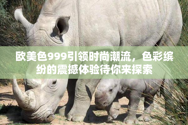 欧美色999引领时尚潮流，色彩缤纷的震撼体验待你来探索
