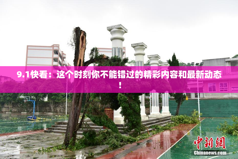 9.1快看：这个时刻你不能错过的精彩内容和最新动态！