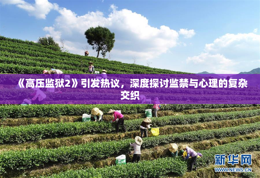《高压监狱2》引发热议，深度探讨监禁与心理的复杂交织