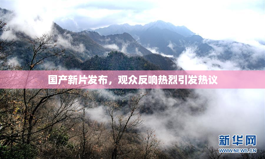 国产新片发布，观众反响热烈引发热议
