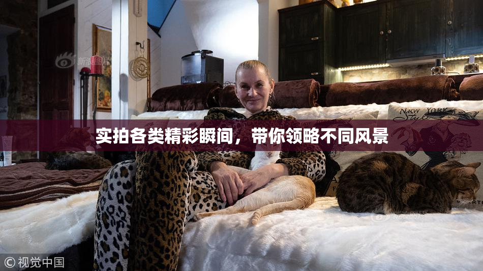 实拍各类精彩瞬间，带你领略不同风景