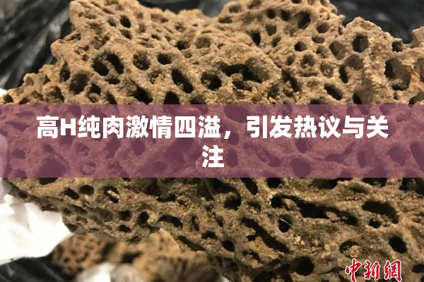 高H纯肉激情四溢，引发热议与关注