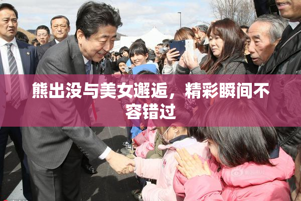 熊出没与美女邂逅，精彩瞬间不容错过