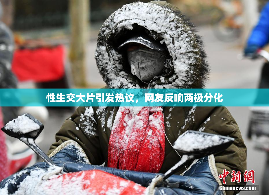 性生交大片引发热议，网友反响两极分化