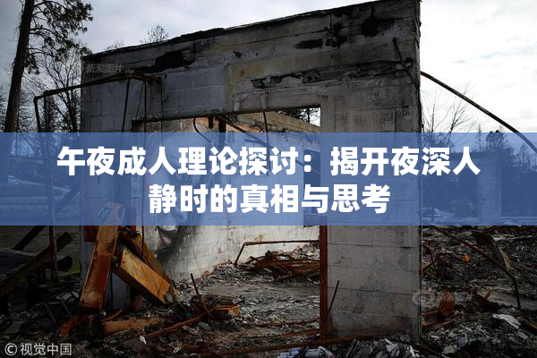 午夜成人理论探讨：揭开夜深人静时的真相与思考