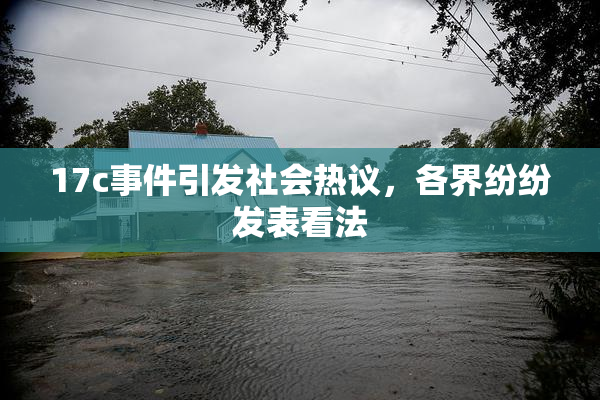 17c事件引发社会热议，各界纷纷发表看法