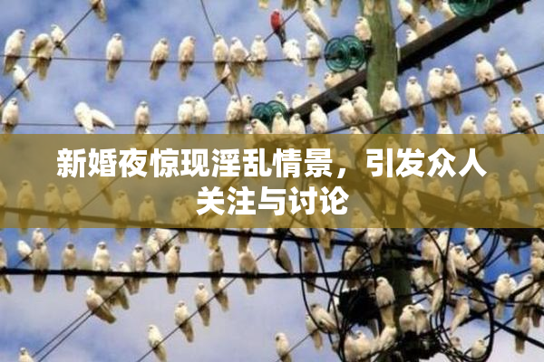 新婚夜惊现淫乱情景，引发众人关注与讨论