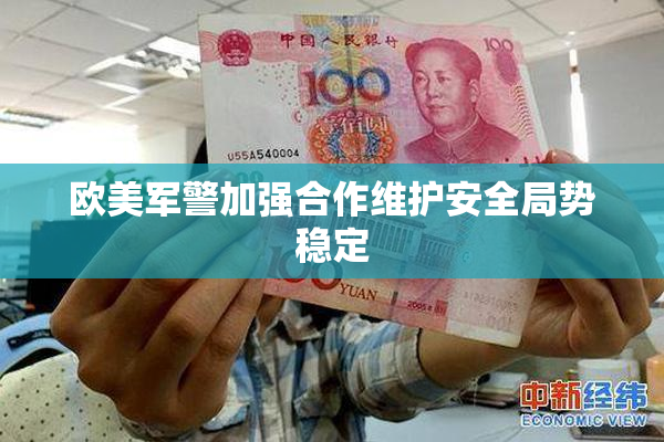 欧美军警加强合作维护安全局势稳定