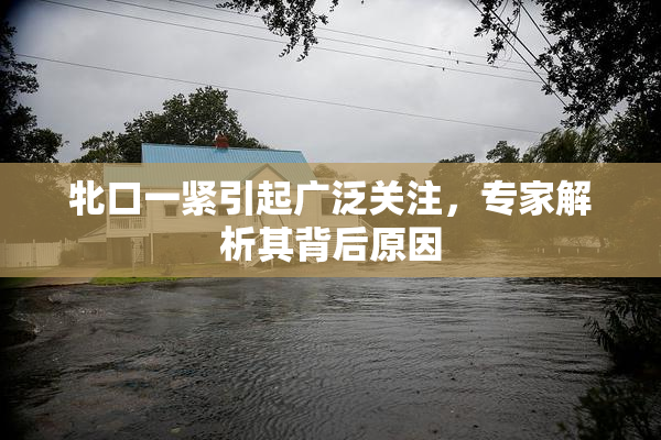 牝口一紧引起广泛关注，专家解析其背后原因