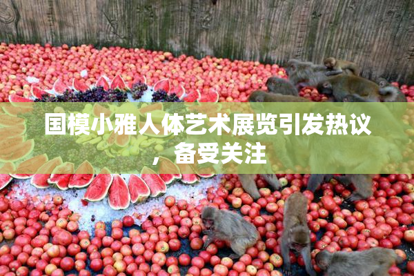 国模小雅人体艺术展览引发热议，备受关注
