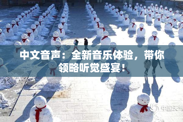 中文音声：全新音乐体验，带你领略听觉盛宴！