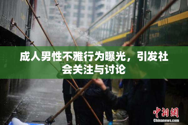 成人男性不雅行为曝光，引发社会关注与讨论
