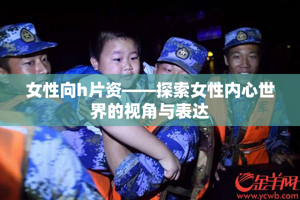 女性向h片资——探索女性内心世界的视角与表达