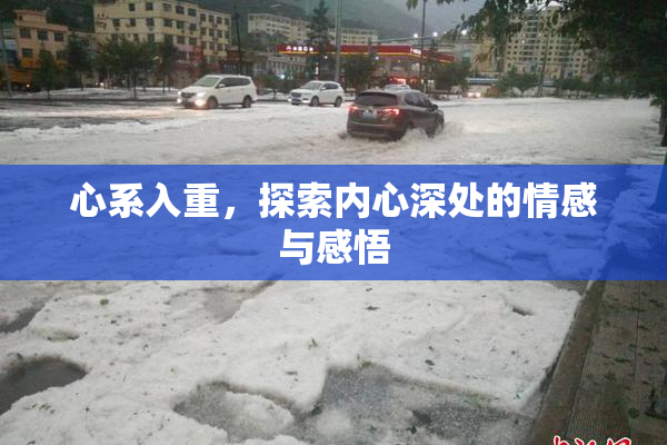 心系入重，探索内心深处的情感与感悟