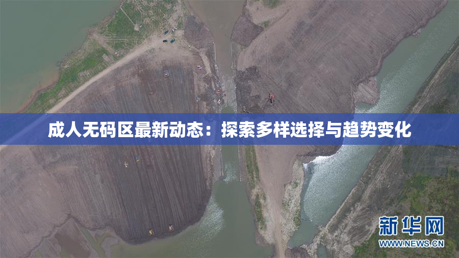 成人无码区最新动态：探索多样选择与趋势变化