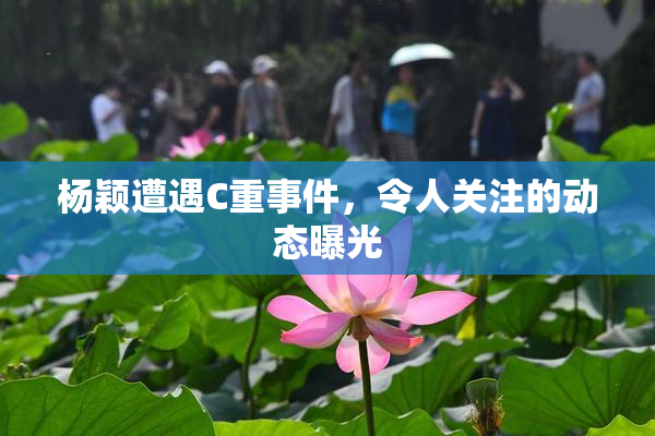 杨颖遭遇C重事件，令人关注的动态曝光