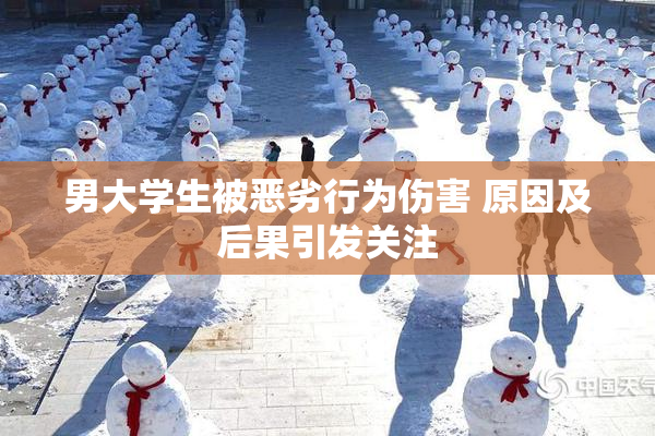 男大学生被恶劣行为伤害 原因及后果引发关注