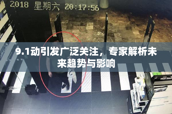 9.1动引发广泛关注，专家解析未来趋势与影响