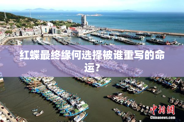 红蝶最终缘何选择被谁重写的命运？