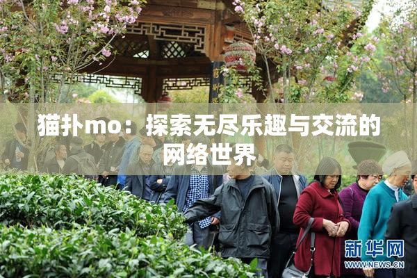 猫扑mo：探索无尽乐趣与交流的网络世界