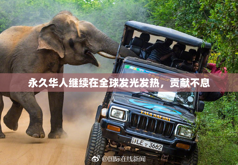 永久华人继续在全球发光发热，贡献不息